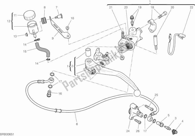 Alle onderdelen voor de Koppeling Controle van de Ducati Superbike Panigale V4 USA 1100 2019